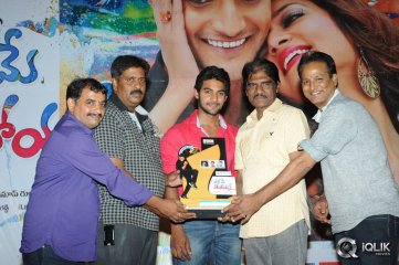 Pyaar Mein Padipoyane Movie Platinum Disc Function